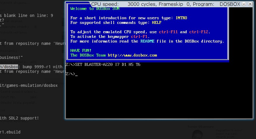 DOSBox with SDL2